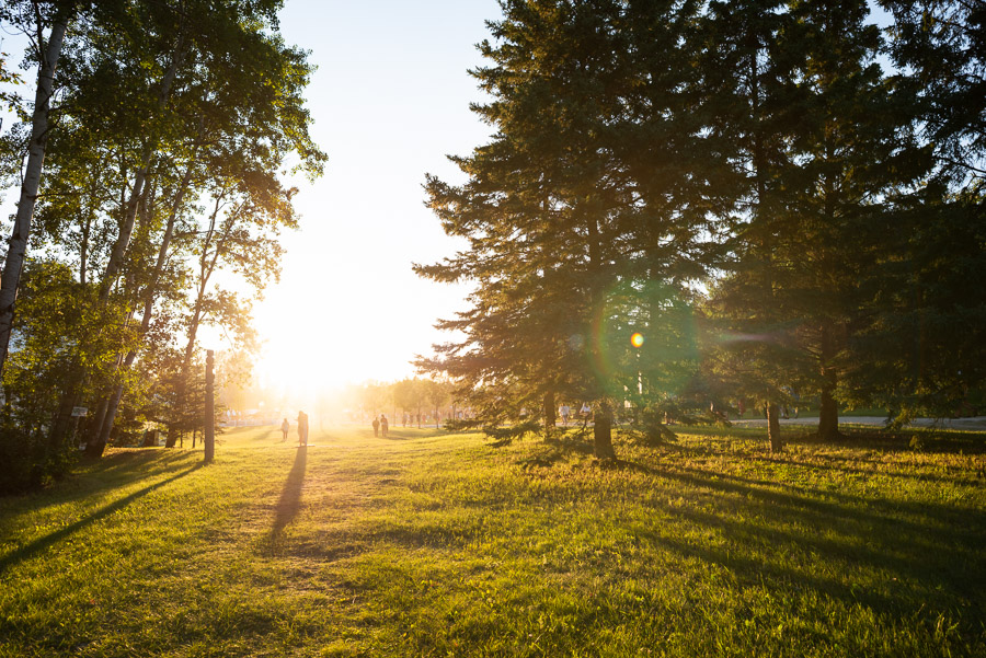 Festival goers cast the first long shadows on festival fields as they arrive Thursday evening.