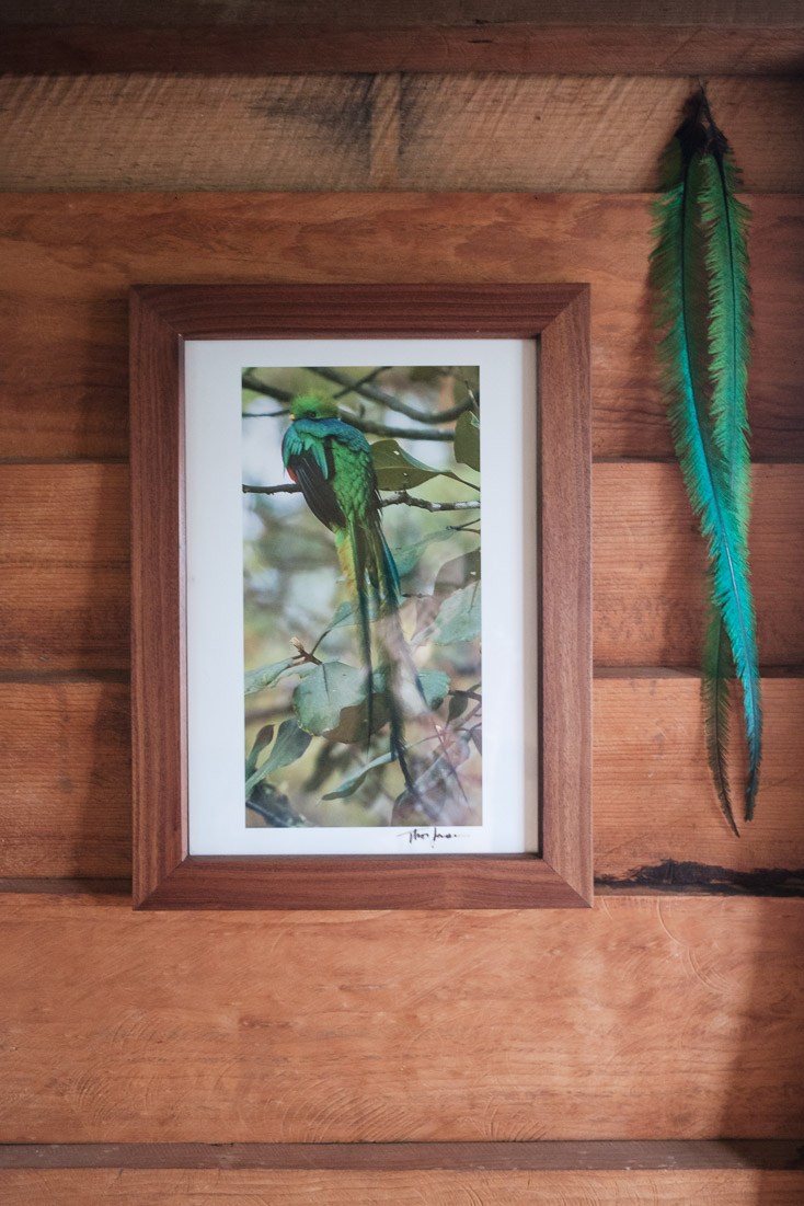 Quetzal totems.