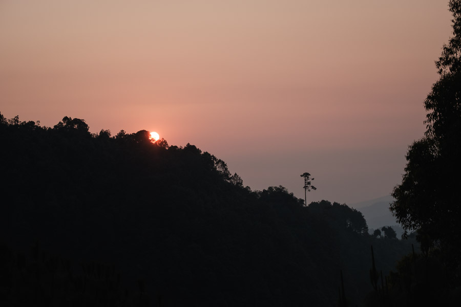 A clear sunrise in the cloud forest.There is a rhythm to the weather in Central America. A searing heat enforces a daily siesta along its coasts; the drone of animals in the jungle fades, the relentless equatorial sun thickens the air with the ocean&rsquo;s vapour, and sweat beads on skin even as one rests. A wind, always arriving from the open sea, exhales inland; its breath riding the contours of the land up, and up, and up, to the peaks of the highlands. Here, vapour becomes visible again in the coolness of higher elevation and newborn clouds infinitely roll over lofty peaks. Accruing en masse as the day continues on, the clouds become heavy and water droplets coalesce on the leaves of thirsty plants; creating a special rain that scatters down from the thick canopy high above every late afternoon with a certain regularity. The sun leaves the sky, drops of water continue to fall, and come morning the atmosphere is quiet once more - seemingly waiting for its cue to play its part in the performance once again.