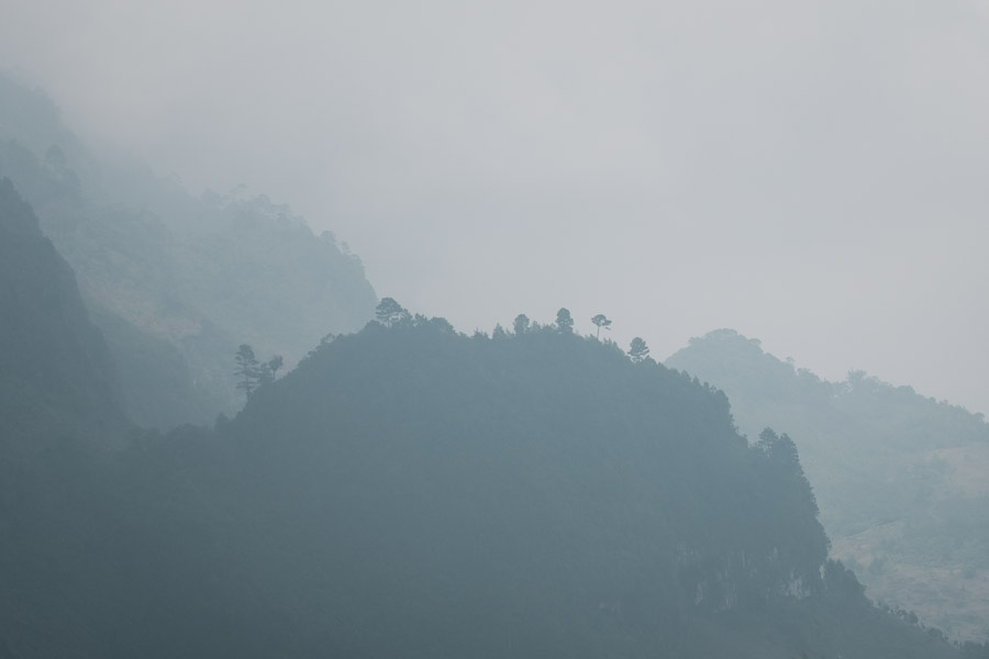 The biodiversity of the cloud forest is astoundingly rich; a remarkable number of plants and animals call this sensitive habitat home.