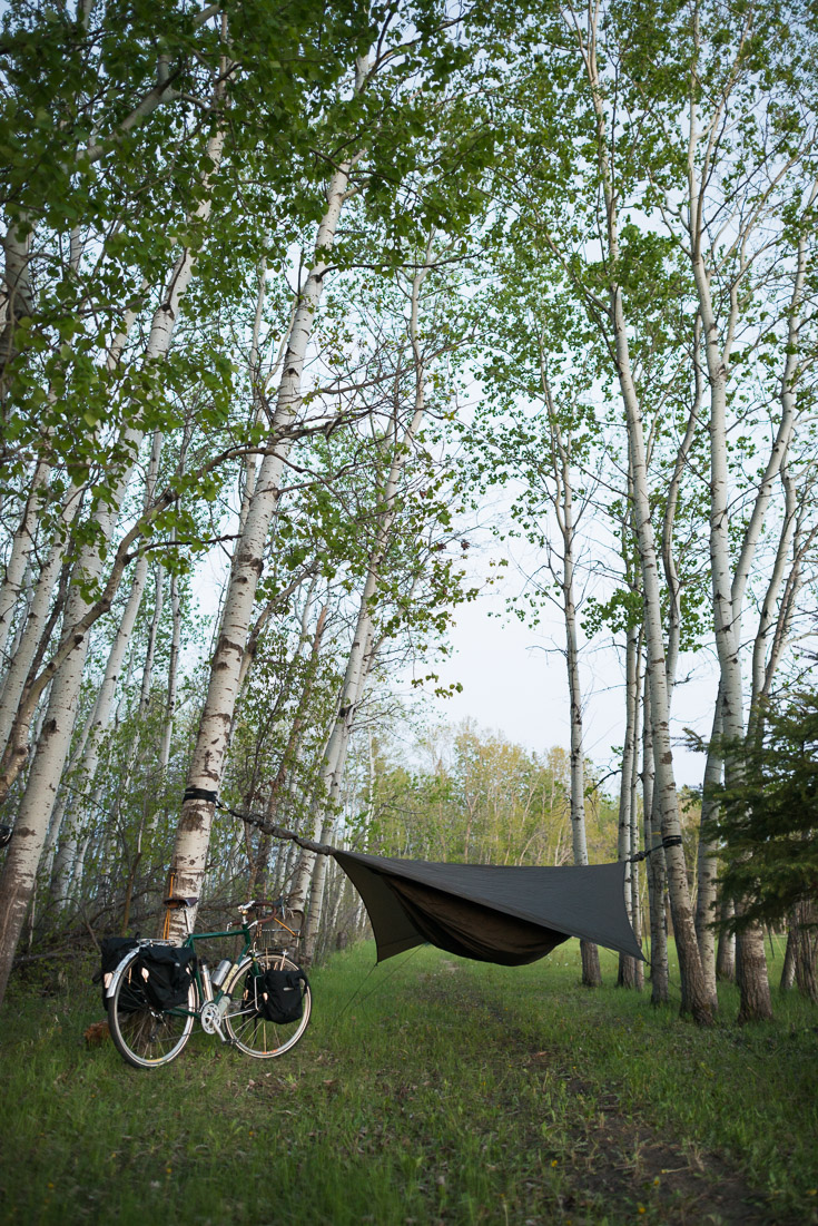 &hellip;because a hammock tent is my shelter of choice and a good tree stand makes life much easier. This method of camping doesn&rsquo;t require flat ground, so it opens up a lot of possibilities.