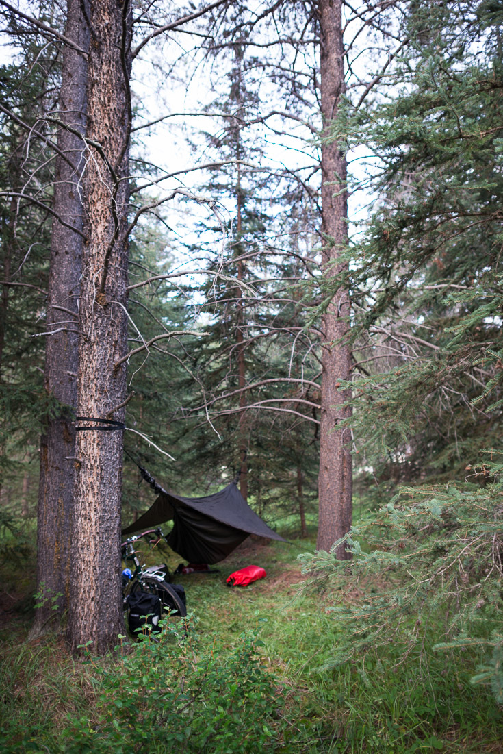 In the waning twilight, my first night in the mountains was spent scrambling to find and establish a wild camp in the woods. The views on my first 20km down the Icefields Parkway to this little stand of trees were spectacular: at one point there was a brilliant rainbow against the already scenic mountain road at sunset, a rushing river to the left, and four elk crossing directly in front of me. But I didn’t have the luxury to stop and take any pictures, because I needed to find a place to sleep. This turned out to a bit of a theme on this whole trip: so much energy was spent on survival essentials that there wasn’t much left for photos and writing. Then again, there never seems to be enough energy and time.