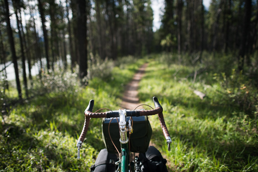 Venturing away from the road and into the backcountry. This section of path was scenic and fun, but it quickly turned gnarly for a fully loaded touring bike. Access to the camp destination is listed as an easy 14km return mountain bike trail that “follows a well packed fire road that is easily traversed.” Well let me tell you, if this was a fire road it must’ve been so a very long time ago because there were narrow bridges, washed out swampy sections, overgrown parts, and some really steep hills riddled with a lot of sharp rocks and roots. It was a technical mountain bike ride made even more technical by being fully loaded (at the train station my gear weigh in was about 70 pounds - 25 pounds of food for this leg of the journey). But where there’s a will, there’s a way - I took it slowly and carefully, and made it to a beautiful campsite at the meeting of the Athabasca and Sunwapta rivers. I only almost died twice (exaggerating a little…but only a little).