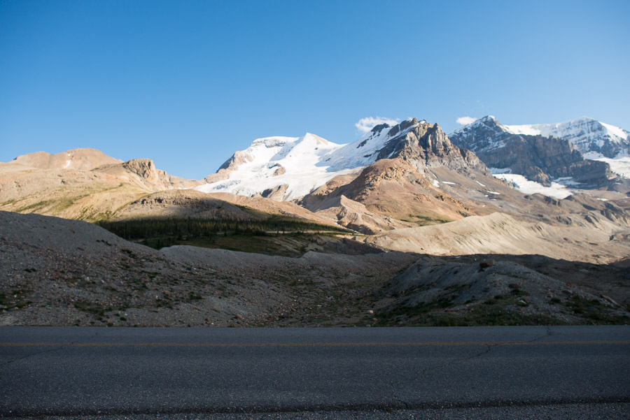 As I continue to head south, I get my first view of the Columbia Icefields: a glacial toe of the Athabasca Glacier reaches down Mount Andromeda.