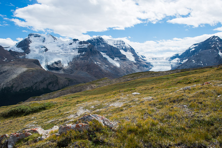 Beautiful afternoon light catches the Athabasca Glacier.