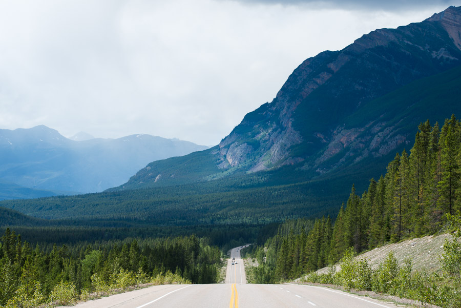The rolling mountain road is a thing to love and hate when travelling by pedal power, but it sure is beautiful.
