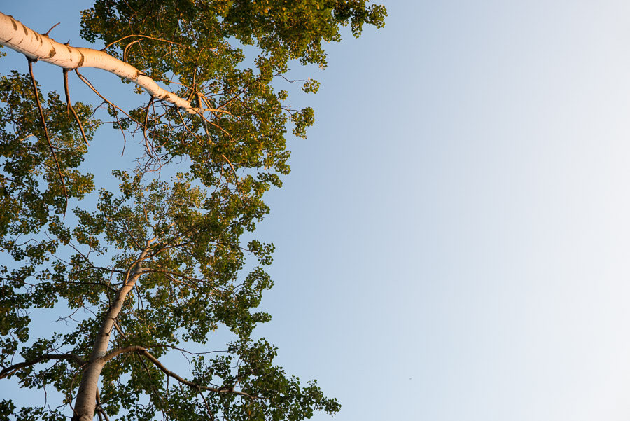 Hot summer festival days with baby blue, clear skies.