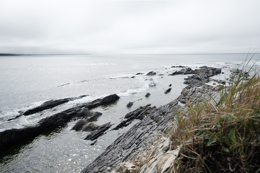 Unsheltered western shores, where only the most hardy grasses survive in an otherwise grey landscape.