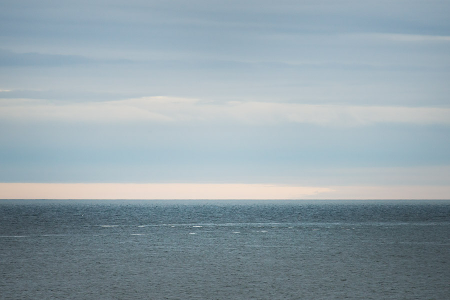 Distant belugas circle below the surface of the Hudson Bay.