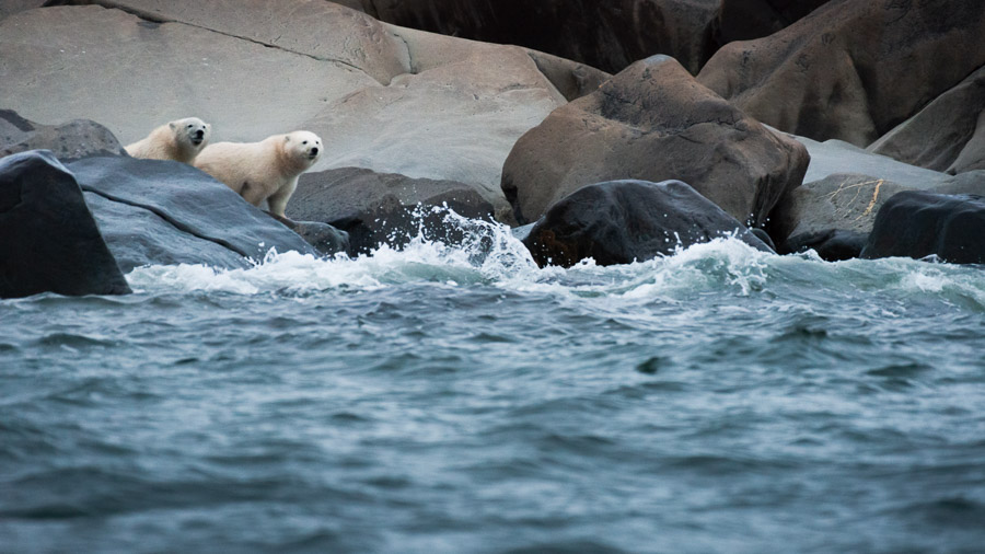 Curious siblings explore along the waters edge&hellip;