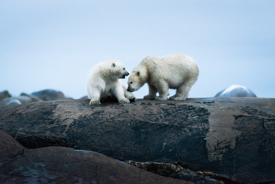 A sibling bond.