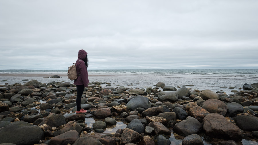 Looking out to sea.