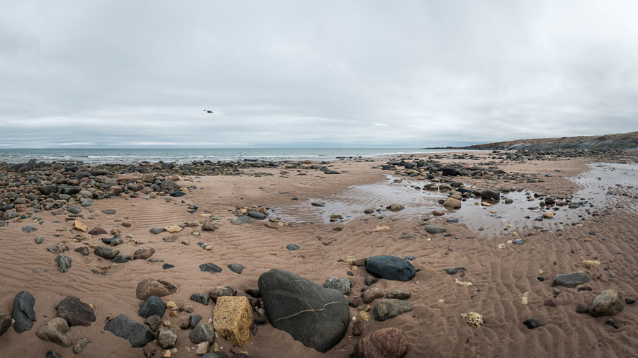 A quiet sandy beach edges onto frigid waters.