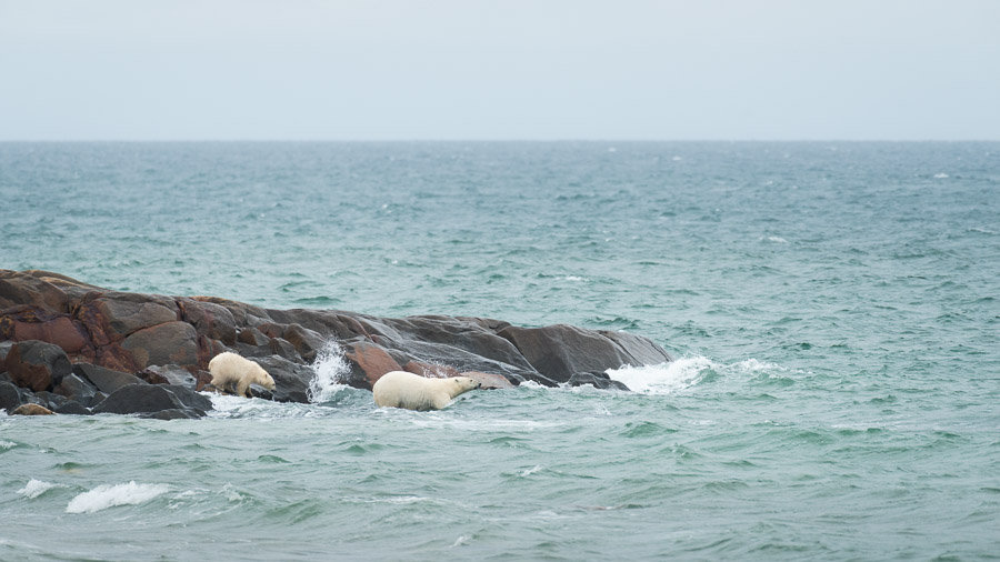 &hellip;like swimming.