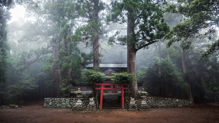 A small red torii gate and stone lanterns at Okura Shrine, nestled beneath towering cedars in rainy mist