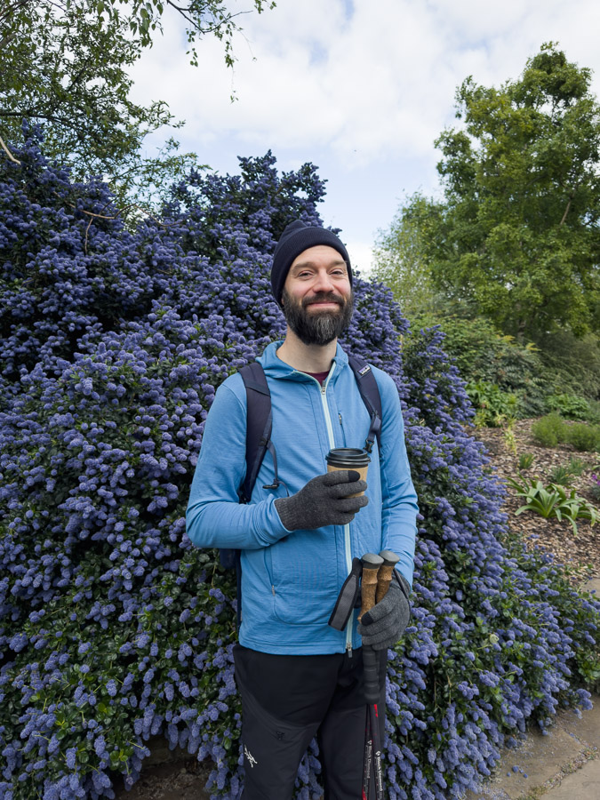 David in a toque and hiking gloves holds a takeaway coffee and trekking poles in front of a wall of blue ceanothus blossoms
