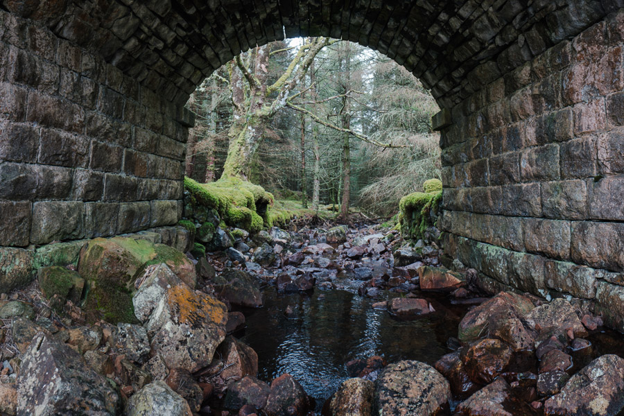 Looking out from under a mossy stone bridge arch at a rocky stream and rain-soaked conifer forest